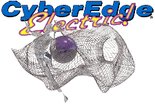 cyberedge logo.gif (13154 Byte)