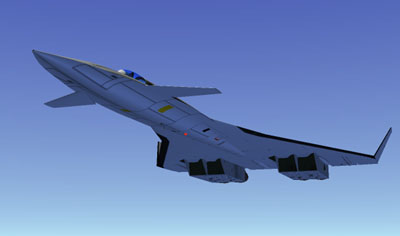 us air force brilliant buzzard8.jpg (11617 Byte)